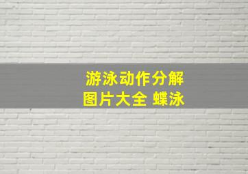 游泳动作分解图片大全 蝶泳